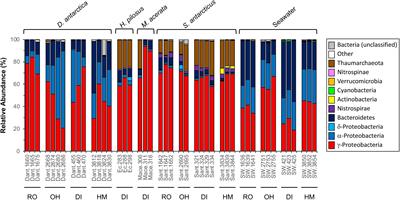 Host Species Determines Symbiotic Community Composition in Antarctic Sponges (Porifera: Demospongiae)